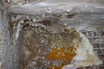 photo of Dry Rot