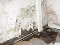  image of Damp Proofing
